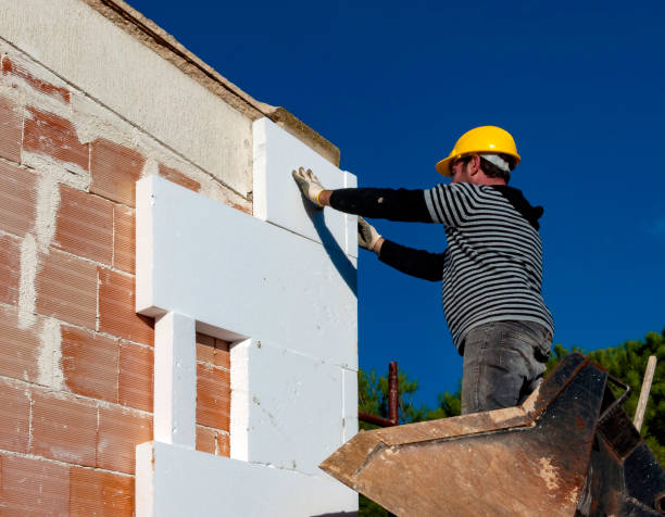 Best Eco-Friendly Insulation in Pine Nyon, CA