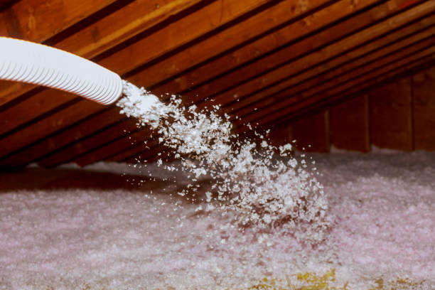 Reliable Pine Canyon, CA Insulation Contractor Solutions