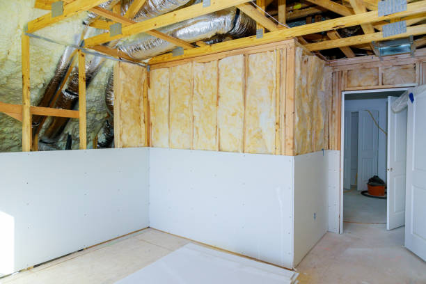 Types of Insulation We Offer in Pine Canyon, CA