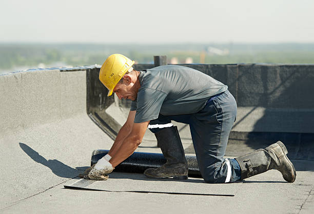 Best Cellulose Insulation in Pine Nyon, CA