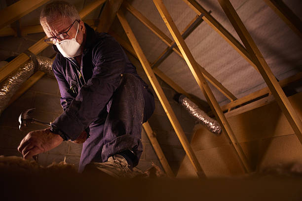 Best Blown-in Insulation in Pine Nyon, CA