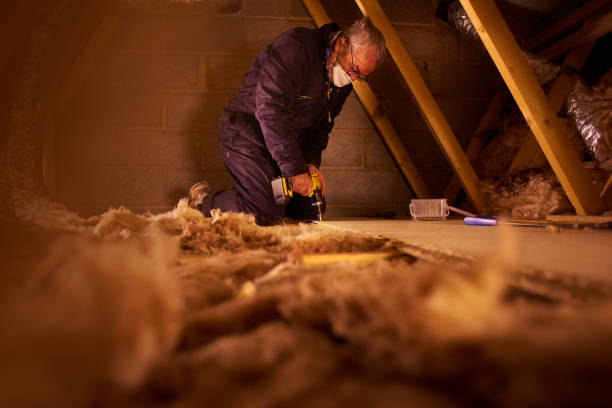 Best Insulation Maintenance and Repair in Pine Nyon, CA