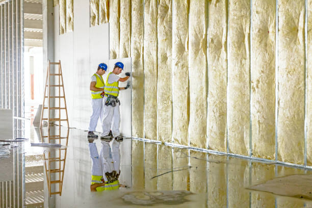 Best Eco-Friendly Insulation in Pine Nyon, CA